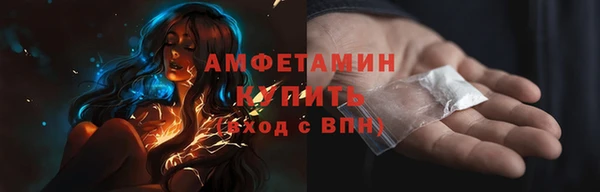 дживик Инта