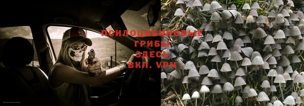 не бодяженный Зеленодольск